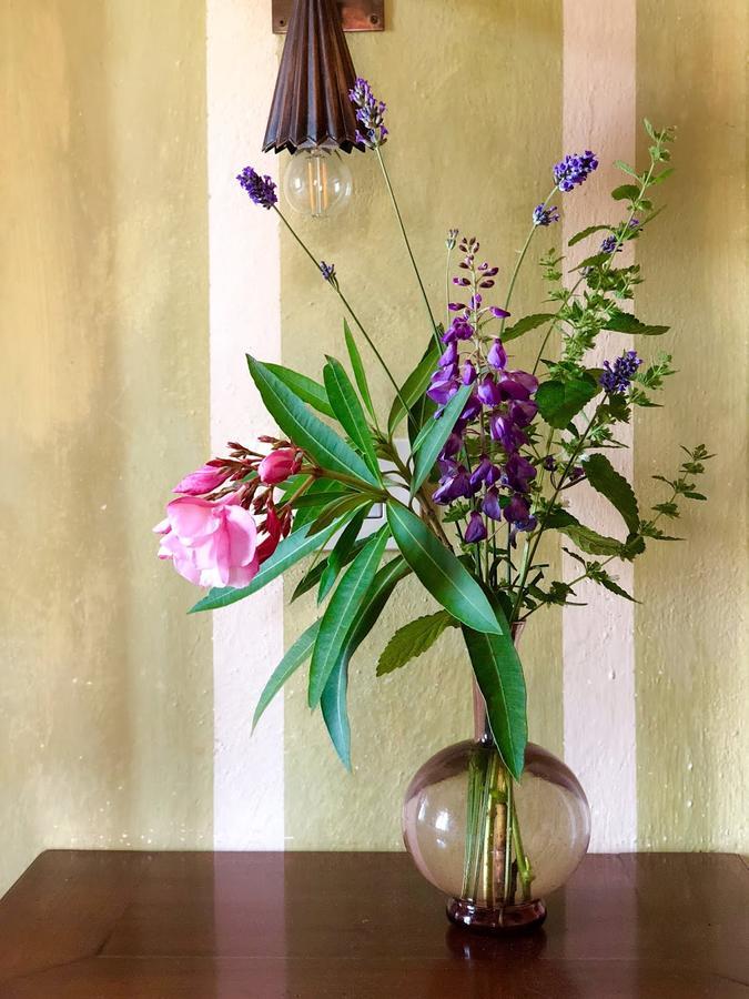 Villa La Lodola โฟยาโน เดลเล เคียนา ภายนอก รูปภาพ